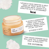 UpCircle USA - Natural Eco Friendly Vegan Lip Balm with Hemp Seed Oil