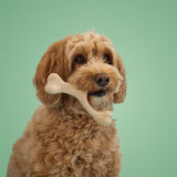 *SIZE SMALL* BetterBone All-Natural Sustainable MEDIUM Strength Chew Toy - For SMALL Dogs
