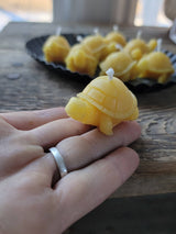 Farm and Hive - Tiny Turtle - Set of 2 | Beeswax Candles