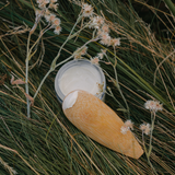 Little Seed Farm - Rosemary Patchouli Deodorant Cream