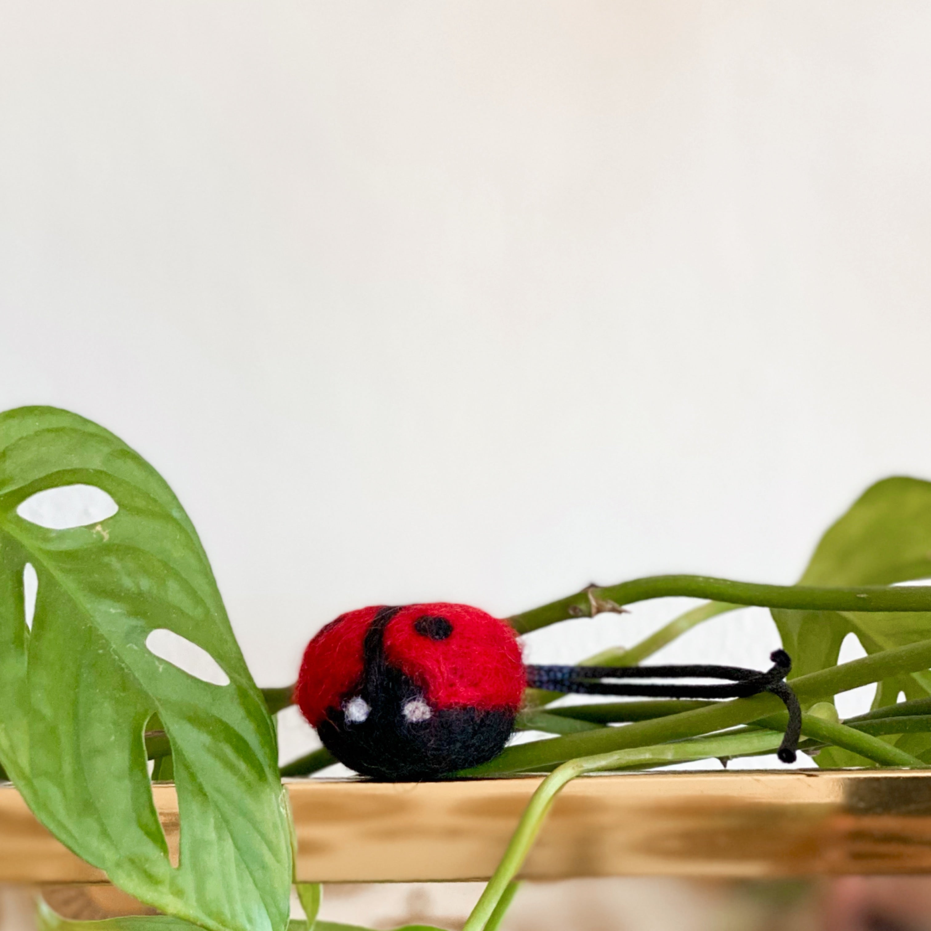 Ladybug Wool Catnip Toy Dharma + Dwell