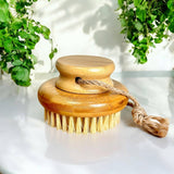 Bamboo Switch - Bamboo Body Dry Brush | NEW Bestseller