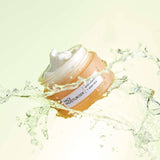 UpCircle USA - Face Moisturizer with Vitamin E + Aloe Vera - Eco Day Cream