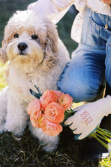 Riley & Sons - Eco-Friendly Garden Gloves