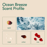 Kind Laundry - Laundry Detergent Sheets Travel Pack - Ocean Breeze 6 Loads