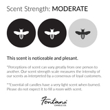 Fontana Candle Co. - Spiced Latte Beeswax & Essential Oil Non-Toxic Wax Melts