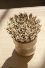 No Tox Life - CASA AGAVE® Pot Brush White Teakwood - No Tox Life®