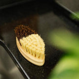 Bamboo Switch - Bamboo Oval Cleaning Brush | Vegetable & Kitchen Bestseller