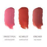 Minori - Blush Mini Bar - Travel Size Gift Set