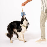 Awoo - Comet's Tail Felt Toy