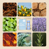 Kind Laundry - In Wash Scent Boosters - Lavender Dream