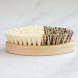 Casa Agave Oval Duo Tone Cleaning Brush