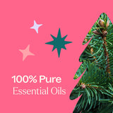 Plant Therapy - Christmas Tree Essential Oil Blend 10 mL