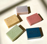 Sustain Yourself LLC - Charcoal Tea Tree Vegan Body Bar Soap