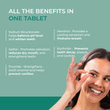 Kaylaan Bulk Fluoride Toothpaste Tablets - Mint (1oz)