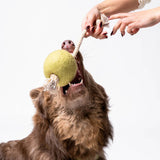 Awoo - Pimento Olive Felt & Rope Tug Toy