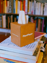 PlantPaper - Unbleached, 3-ply Bamboo Facial Tissue