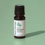 Plant Therapy - Organic Eucalyptus Globulus Essential Oil 10 mL