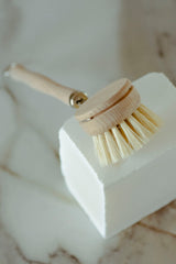 Casa Agave Long Handled Dish Brush