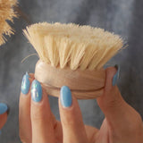 Casa Agave Long Handled Dish Brush