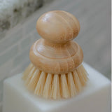 Casa Agave Brush