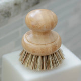 Casa Agave Brush