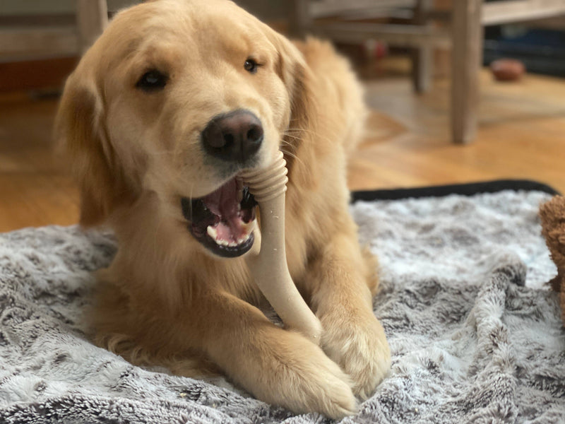 SOFT BetterBone All-Natural Sustainable Chew Toy - For SMALL Dogs