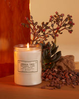 Parks Project - Joshua Tree Desert Campfire Candle