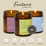 Fontana Candle Co. - Sea Salt Essential Oil Beeswax Jar Candle: Non-Toxic