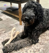 SOFT BetterBone All-Natural Sustainable Chew Toy - For SMALL Dogs