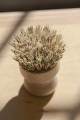 No Tox Life - CASA AGAVE® Pot Brush White Teakwood - No Tox Life®