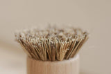 No Tox Life - CASA AGAVE® Pot Brush White Teakwood - No Tox Life®
