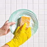 Element Brooklyn - Plant-Based Kitchen Sponges