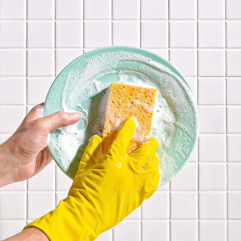 Element Brooklyn - Plant-Based Kitchen Sponges
