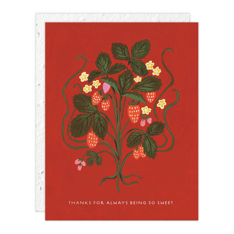 Seedlings Cards - Plantable Seed Paper Envelope