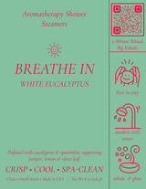 SloGlo - 'Breathe in' Eucalyptus Aromatherapy Shower Steamers 4-Pack Spa Gift Set