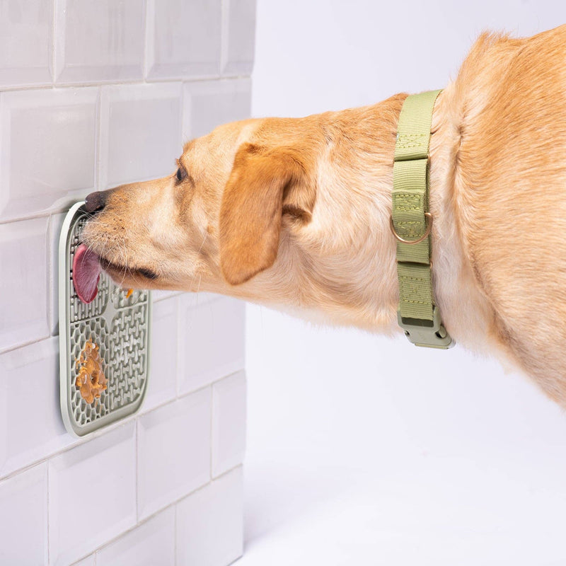 Awoo - SMOOSH Lick Mat