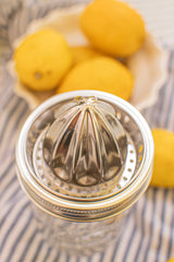 Zefiro - Stainless Steel Juicer - Wide Mouth