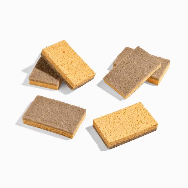 Element Brooklyn - Plant-Based Kitchen Sponges