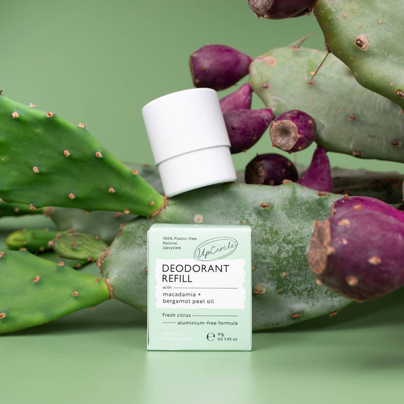 UpCircle USA - New! Plastic Free Deodorant Refills - Macadamia + Bergamot