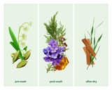 Kind Laundry - Zero Waste Laundry Detergent Sheets (Wood Haven)