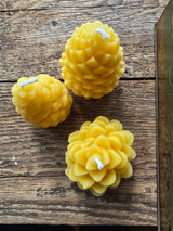 Farm and Hive - Scots Pinecone | Beeswax Candle