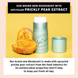 UpCircle USA - Plastic free Summer Refillable Deodorant with Macadamia + Bergamot