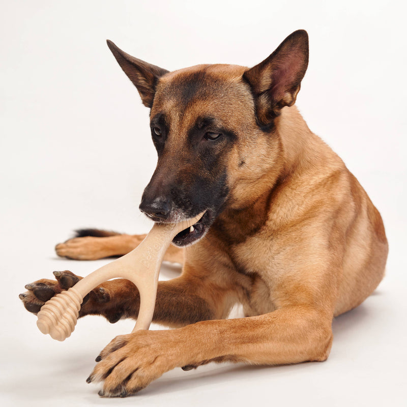 BetterBone Medium All-Natural Sustainable Chew Toy - For Small Dogs