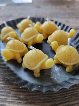 Farm and Hive - Tiny Turtle - Set of 2 | Beeswax Candles