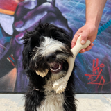 SOFT BetterBone All-Natural Sustainable Chew Toy - For SMALL Dogs