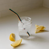 Stainless Steel Bent Straw
