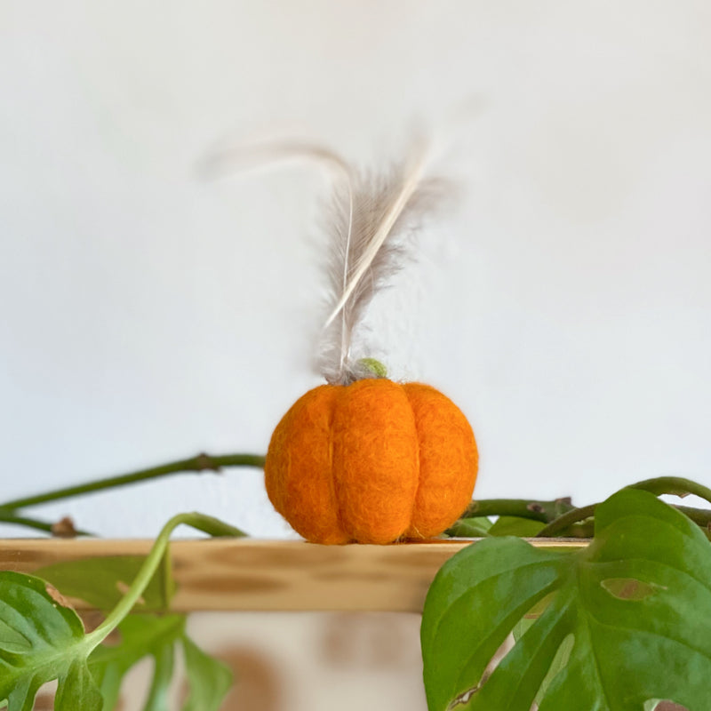 Pumpkin Wool Catnip Toy
