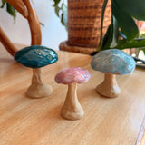 Vicky Hoffman Pottery - Mushrooms