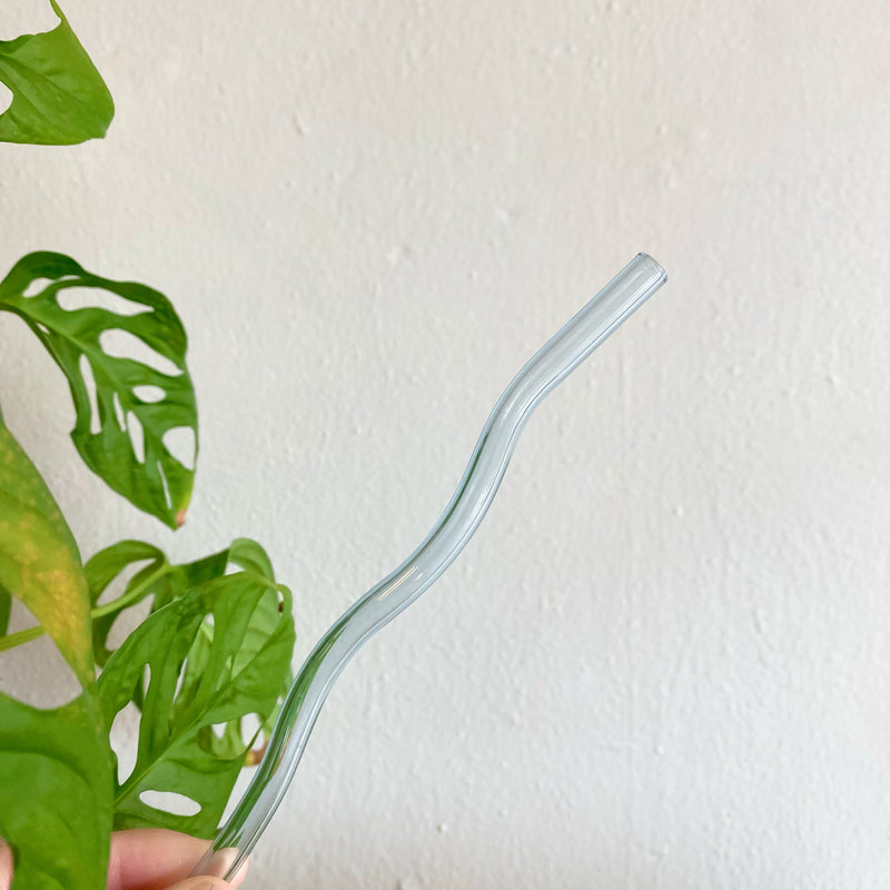 KuriArt Designs - Wavy Reusable Glass Straws